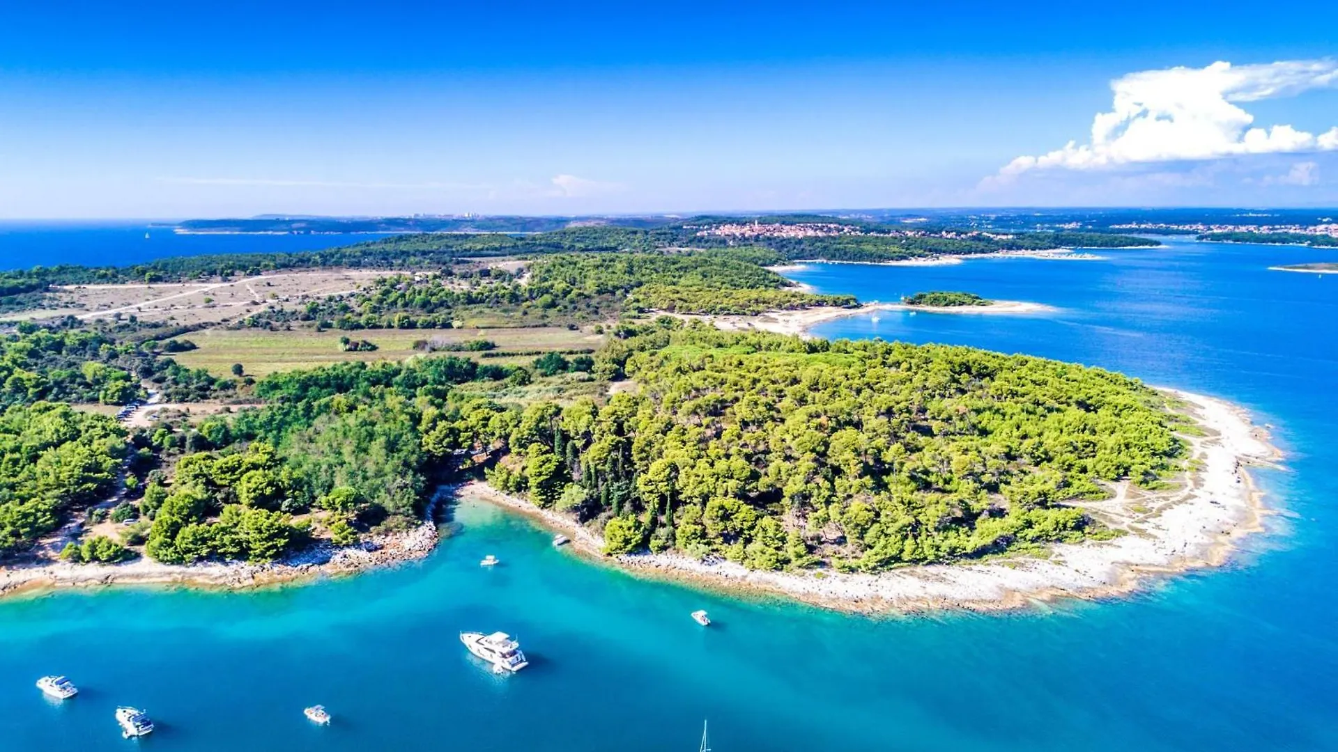 Pet Friendly Apartment - Happy Rentals Pula 0*,  Croatia